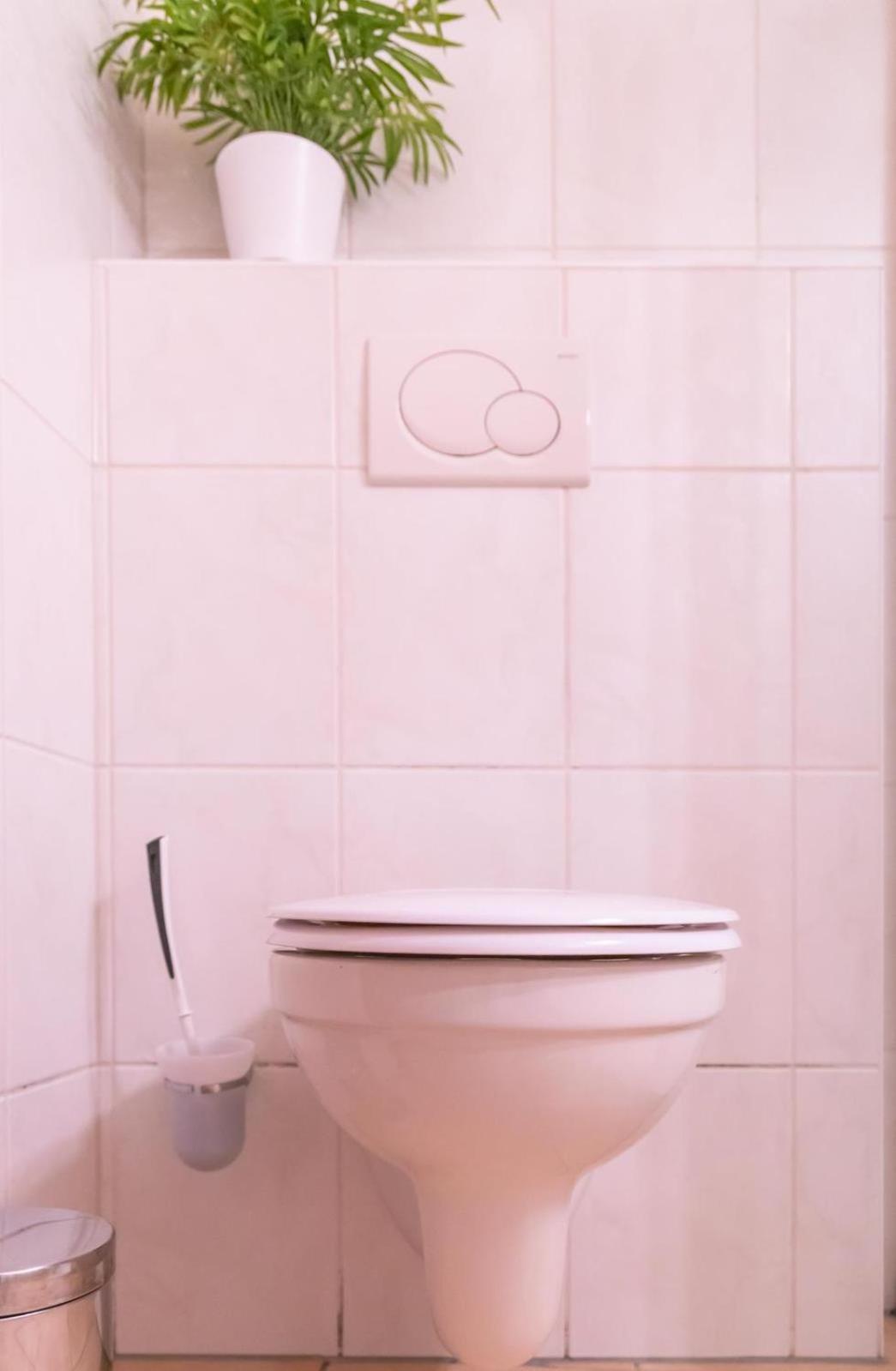 Ferienwohnung 4 Am Petersberg Neef Dış mekan fotoğraf